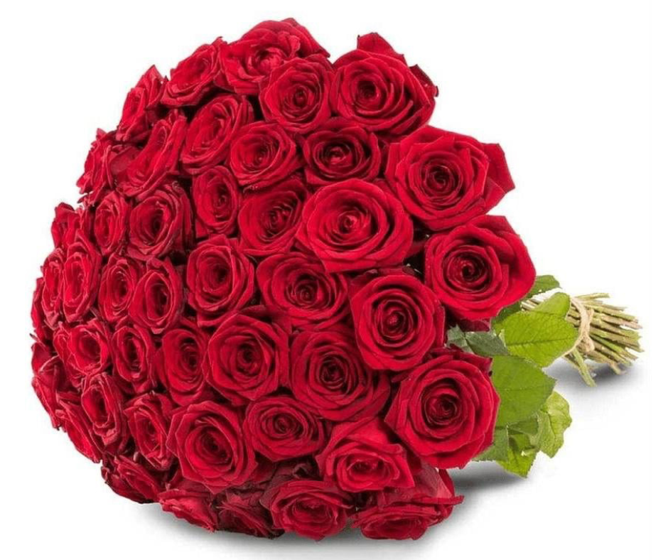 50 roses bouquet Orange County florist long stem red roses Newport Beach delivery