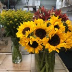 Orange County Flower Store