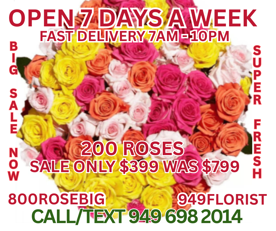 200 roses sale 800 rose big newport beach florist (1)