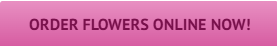 800rosebig order flowers online now pink button